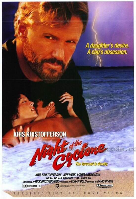 Ночной циклон (1991) постер