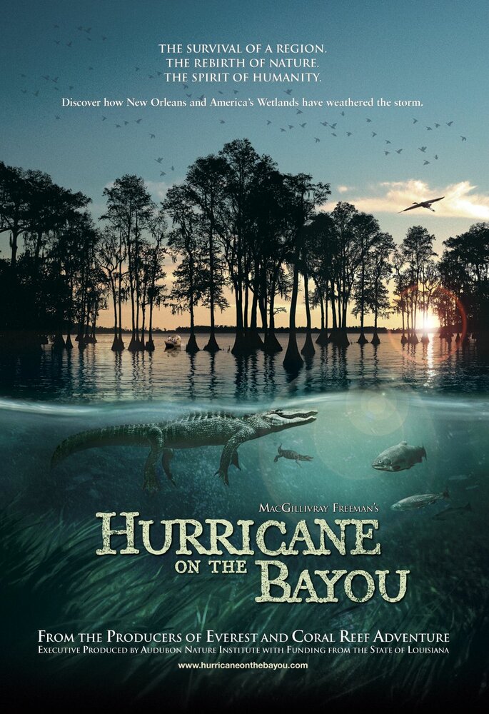 Ураган на Байу (2006) постер