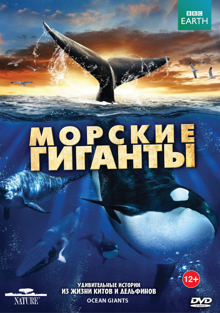 BBC: Морские гиганты (2011) постер