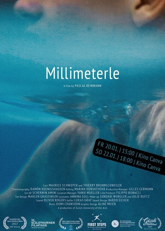 Millimeterle (2016) постер