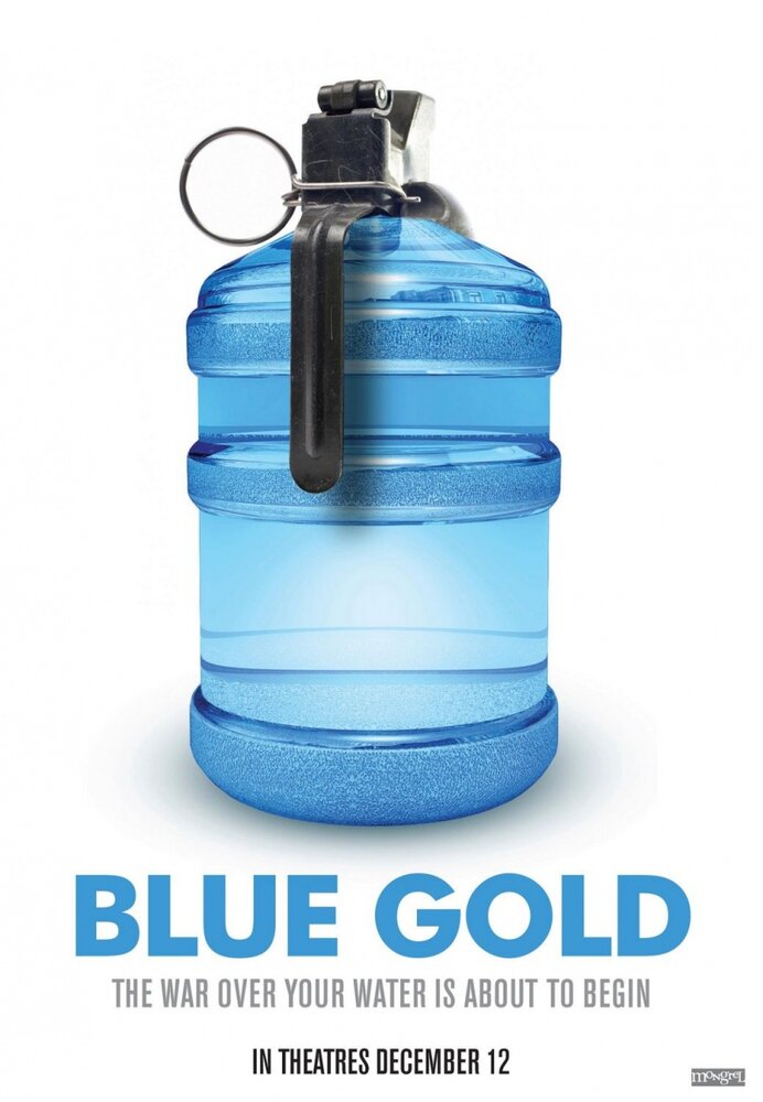 Голубое золото: Всемирные войны за воду (2008) постер
