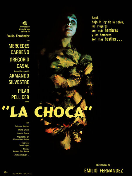 Чока – Женщина со шрамом (1974) постер
