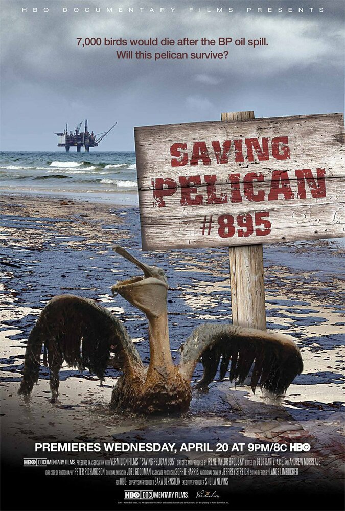 Saving Pelican 895 (2011) постер