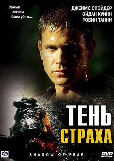 Тень страха (2004) постер