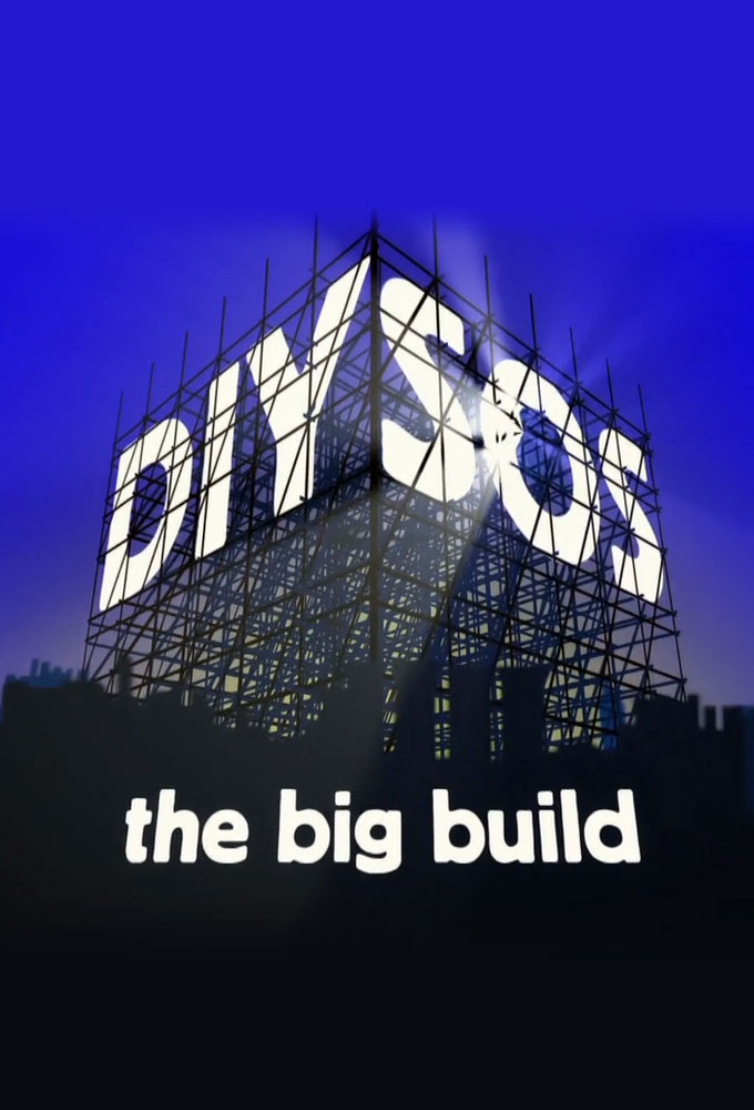DIY SOS (1999) постер