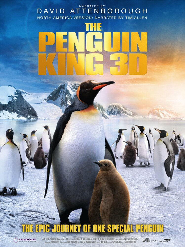 Король пингвинов (2012) постер