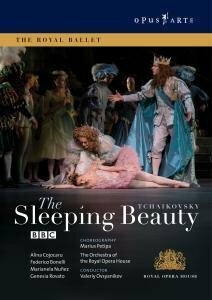 Спящая красавица (2007) постер
