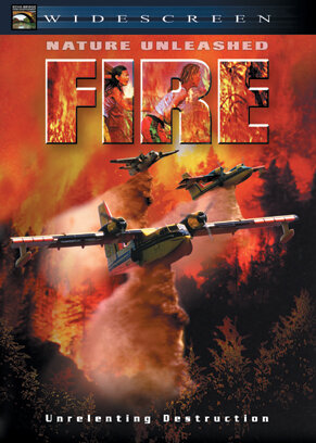 Стихия огня (2004) постер